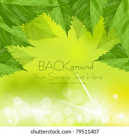 vector frame of green leaves on a green background with the sun