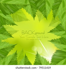 marco vectorial de hojas verdes sobre un fondo verde con el sol