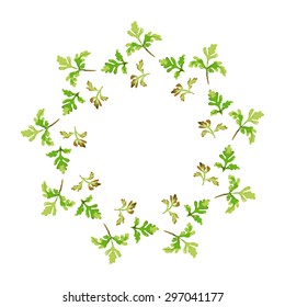 Vector frame of green leaves for your design