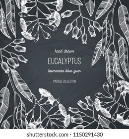 Vector frame with hand draw Eucalyptus drawings. Tasmanian blue gum with leaves, flowers, berries sketches. Wedding botanical illustration. Vintage tree design template on chalkboard