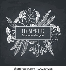 Vector frame with hand draw Eucalyptus drawings. Tasmanian blue gum with leaves, flowers, berries sketches. Wedding invitation and greeting card. Vintage tree design template on chalkboard