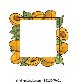 Vector frame with hand drawn  apricots. Sketch  illustration. 