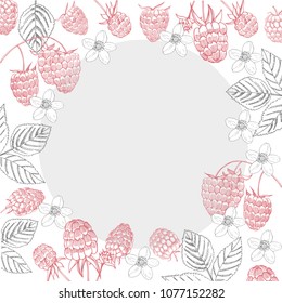 Vector frame with hand drawn  berry. Raspberry.  Sketch illustration 