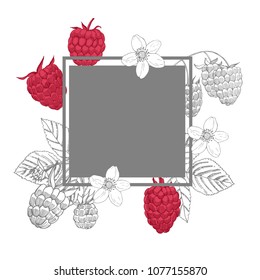 Vector frame with hand drawn  berry. Raspberry.  Sketch illustration 
