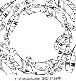 vector frame of hand drawn bird feather with spots, inked monochrome illustration of feather, black and white sketch isolated on white background