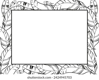 vector frame of hand drawn bird feather with spots, inked monochrome illustration of feather, black and white sketch isolated on white background