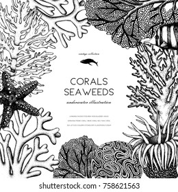 Vector frame with hand drawn black corals, fish, stars sketch. Vintage background with underwater natural elements. Decorative sealife illustration isolated on white. Wedding design.