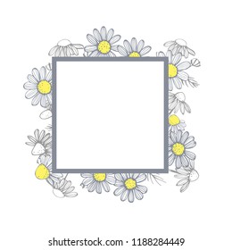  Vector frame with hand drawn chamomile flowers .