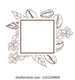 Vector frame with hand drawn  coffee plant and beans