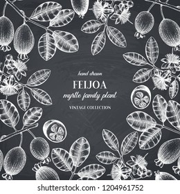 Vector frame with hand drawn feijoa illustration. Engraved botanical sketch of flowers, fruits, leaves. Vintage tropical fruit design. Pineapple guava on chalkboard. 