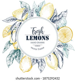 Vector frame with hand drawn fresh lemon tree branches and flowers. Round and square border composition. Vintage card