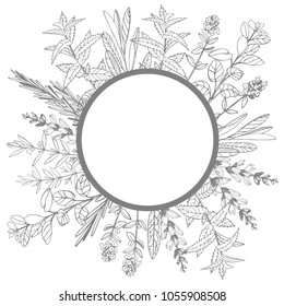 Vector frame with hand drawn herbs. Sketch illustration.