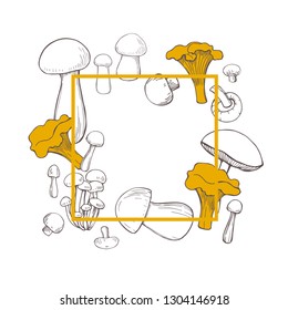 Vector frame with hand drawn mushrooms. Sketch  illustration.