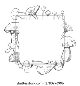 Vector frame with hand drawn  mushrooms.  