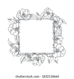  Vector frame with hand drawn pink camellia flowers on white background. Sketch  illustration.