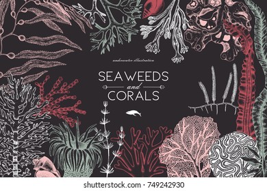 Vector frame with hand drawn sea corals, fish, stars sketch. Vintage background with underwater natural elements. Decorative sealife illustration. Wedding design.