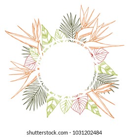 Vector frame with hand drawn tropical plants.