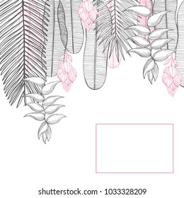 Vector frame with Hand drawn tropical plants.
