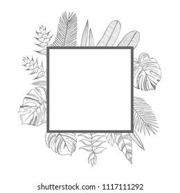Vector frame with  hand drawn tropical plants. Leaves and flowers.