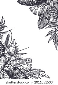 Vector frame with hand drawn tropical flowers, jungle palm, exotic leaves. Black and white template for greeting card, poster, invitation