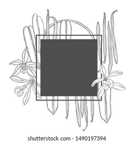 Vector frame with hand drawn vanilla. The pods and flowers. Sketch  illustration.
