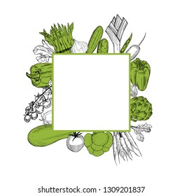 Vector frame  with  hand drawn vegetables. Sketch  illustration.  