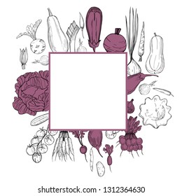 Vector frame  with  hand drawn vegetables. Sketch  illustration.  