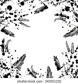 Vector frame with hand drown acacia on white