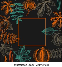 Vector frame with hand-drawn  autumn leaves and pumpkins. Vector  illustration.