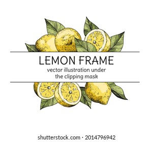 Image vectorielle cadre avec citrons dessinés à la main. Croquis de fruits et de feuilles. Bordure vintage avec une place pour l'inscription. Conception de l'emballage, de la signalisation, de la publicité, des menus, des brochures, des recettes