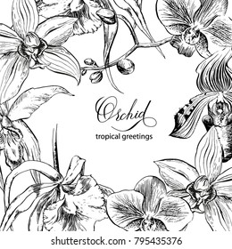 Vector frame with hand-drawn orchids. Design of a vintage tropical invitation. Tropical pattern on the blackboard. Suitable for cards, invitations, weddings, holidays, birthday