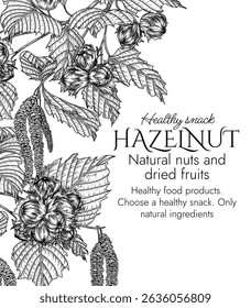 Vector frame with hazelnut branch in engraving style. Graphic banner with forest nuts on tree. Template with growing healthy snack