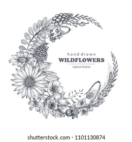 Vector frame with herb and wildflower elements