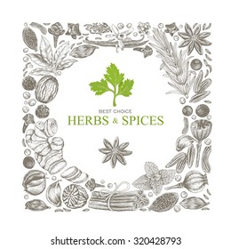 Vector frame with Herbs and Spices, hand-drawn illustration in vintage style.
