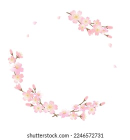 Vector frame illustration of cherry blossom branches