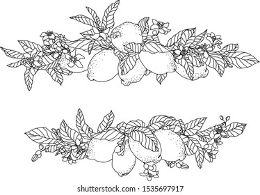 Vector frame illustration with lemon fruits and flowers