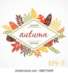 vector frame with illustrations of plant leaves. For nature lovers. Autumn. The theme of the summer. It can be used for packaging, invitations, postcard holiday, fabrics and etc.
