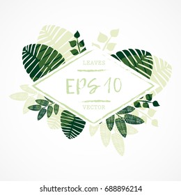 vector frame with illustrations of plant leaves. For nature lovers. The theme of the summer. It can be used for packaging, invitations, postcard holiday, fabrics and etc.