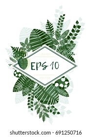 vector frame with illustrations of plant leaves. For nature lovers. The theme of the summer. It can be used for packaging, invitations, postcard holiday, fabrics and etc.