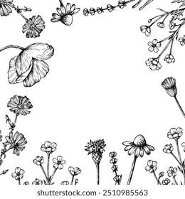 Vector frame, invitation, postcard with wild flowers. Chamomile, lavender, poppy. Hand painted linear papaver flower. Graphic illustration isolated on background. Botanical and wedding illustration. F