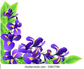 Vector frame with irises