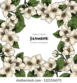 Vector frame with jasmine flowers. Hand drawn. Vintage style