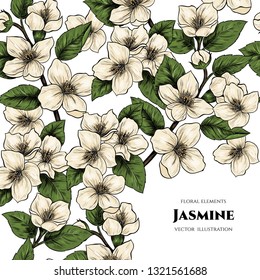 Vector frame with jasmine flowers. Hand drawn. Vintage style
