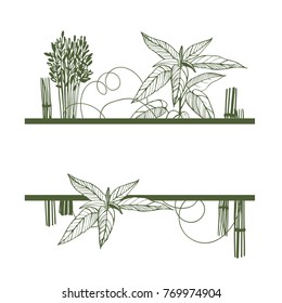 Vector frame with jute. Hand  drawn plants. Jute fibers. 