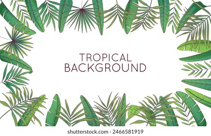 Vector frame with leaves of areca, banana palm, fan palm. Tropical leaves illustration. Strelitzia plant leaves.
