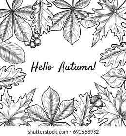 Vector frame with leaves, berries, acorns. Hand drawn. Vintage style