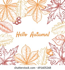 Vector frame with leaves, berries, acorns. Hand drawn. Vintage style