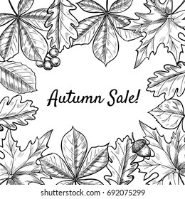 Vector frame with leaves, berries, acorns. Hand drawn. Vintage style