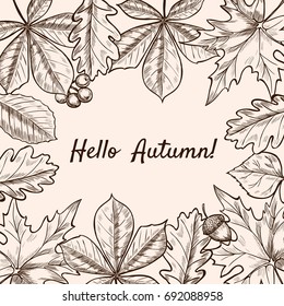 Vector frame with leaves, berries, acorns. Hand drawn. Vintage style