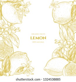 Vector frame with lemons and flowers. Hand drawn. Vintage style